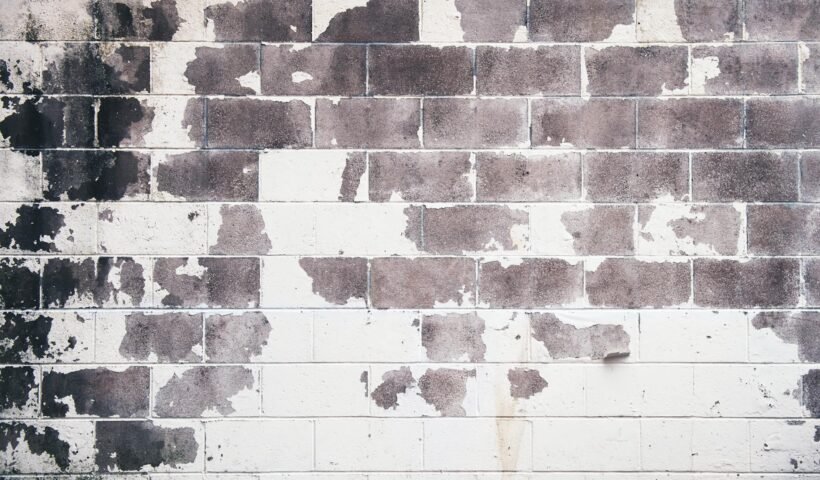 Detailed grunge texture of an old brick wall with peeling paint and rustic feel.