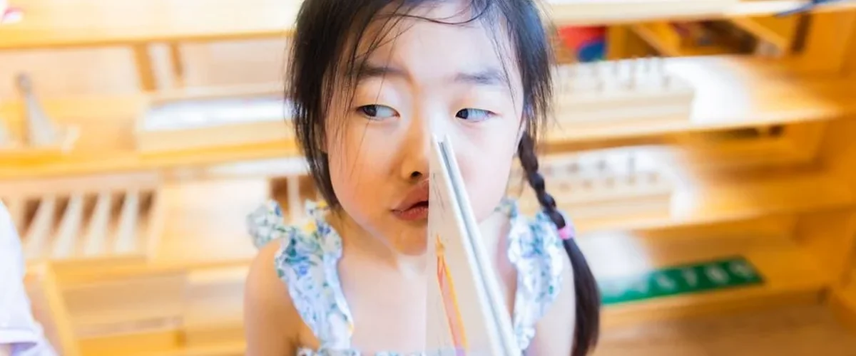 Primary school student reading an Oxford level chapter book — Oxford Reading Tree levels chart
