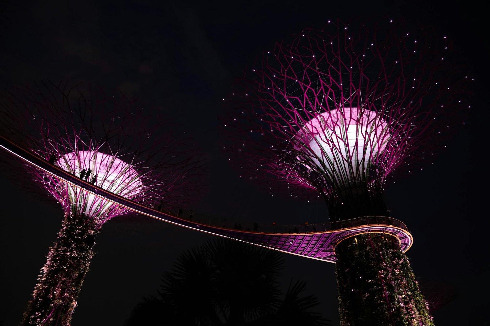 Iconic Supertree Grove illuminated at night, a must-see attraction in Singapore's Gardens by the Bay.