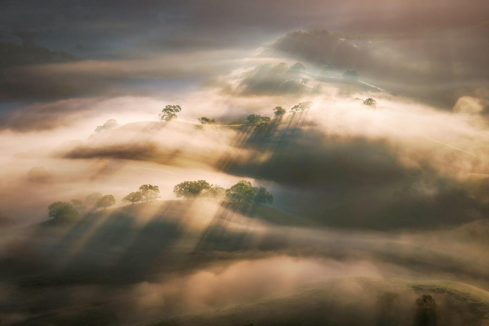 Ethereal fog and sun rays illuminate Morgan Hill's rolling landscapes, creating a mystical morning view.